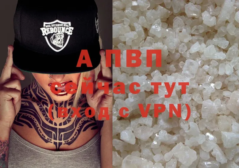 A-PVP СК  Кириши 