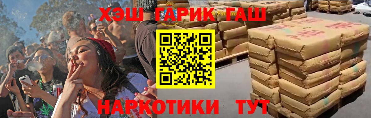 ГАШ Premium Кириши