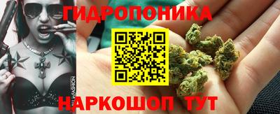 ПСИЛОЦИБИНОВЫЕ ГРИБЫ Гусь-Хрустальный