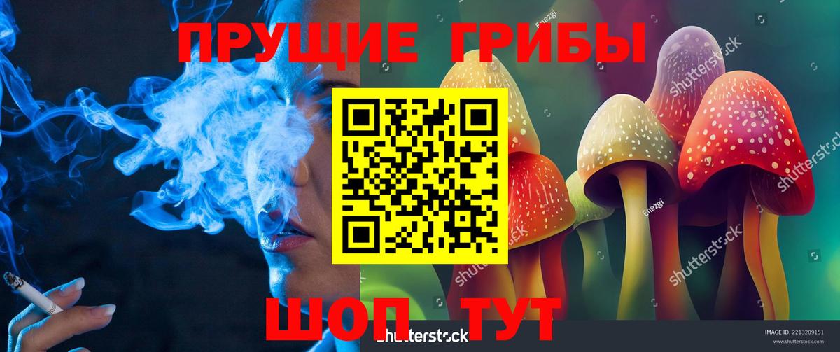 Галлюциногенные грибы GOLDEN TEACHER Кириши