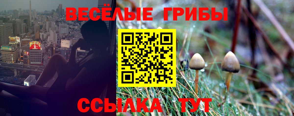 Псилоцибиновые грибы GOLDEN TEACHER Кириши