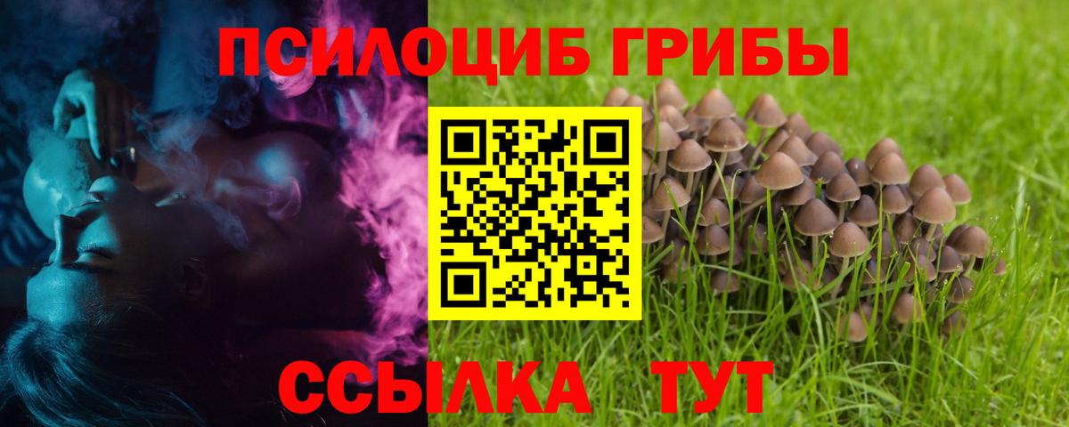 Кириши  Галлюциногенные грибы мицелий  Вход с VPN 
