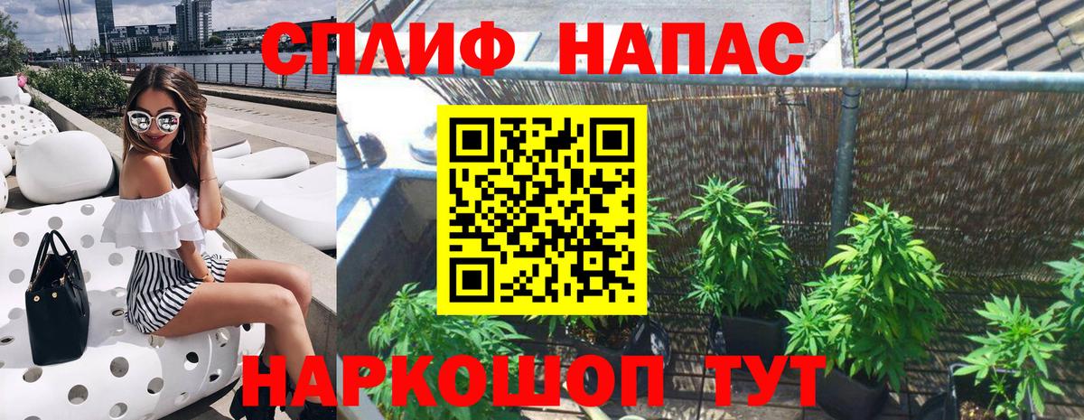 Бошки марихуана SATIVA & INDICA Кириши